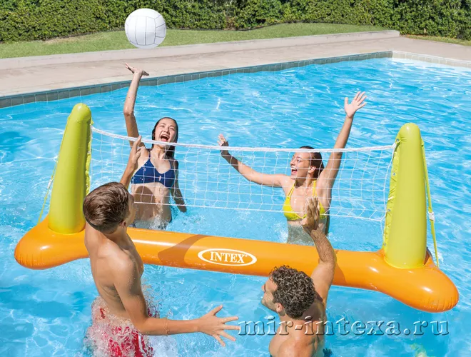 Купить волейбольная сетка для бассейна 239х64х91см Intex 56508