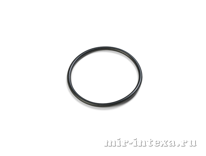 Купить уплотнительное кольцо на плунжерный клапан, Intex 10262 в Москве
